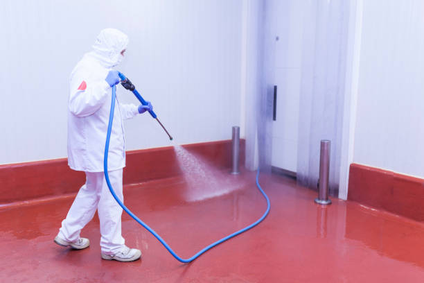 Boat and Dock Cleaning in Port Clinton, OH